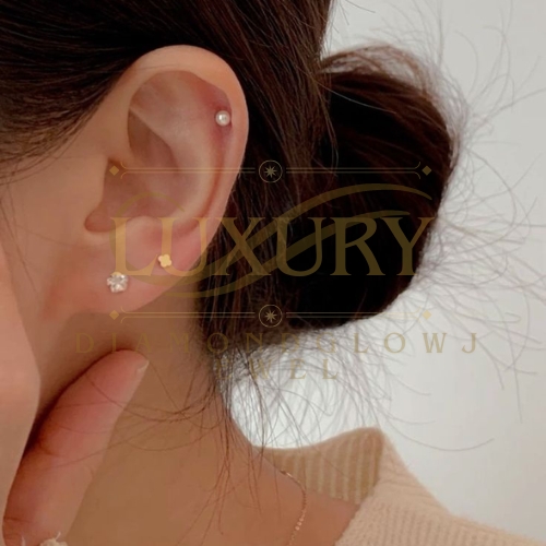 Luxury Earrings